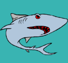 Dibujo Tiburón pintado por darkar