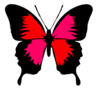 Dibujo Mariposa con alas negras pintado por ibette