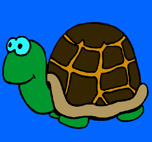 Tortuga