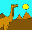 Dibujo Camello pintado por sallp
