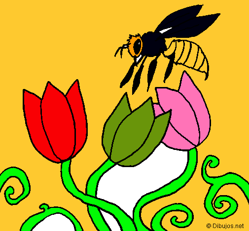 Abeja