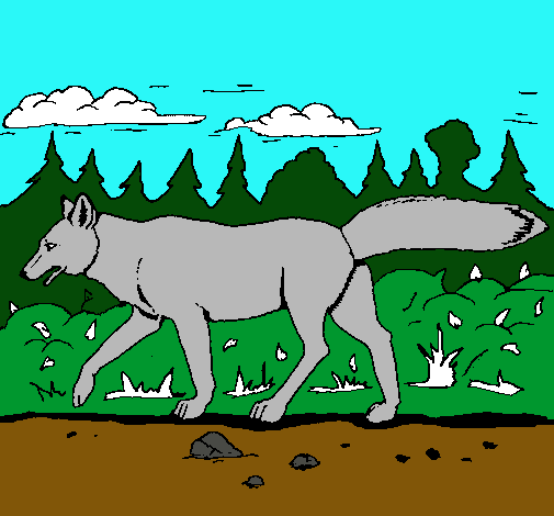 Dibujo Coyote pintado por dyan