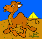 Dibujo Camello pintado por valeriaalba