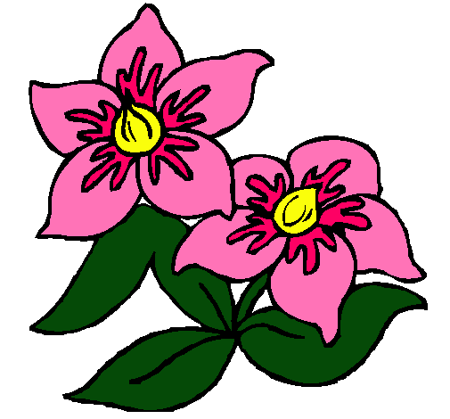 Dibujo de Flores pintado por Virtudes en  el día 26-02-11 a las  18:33:25. Imprime, pinta o colorea tus propios dibujos!