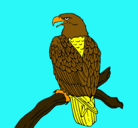 Dibujo Águila en una rama pintado por warrior