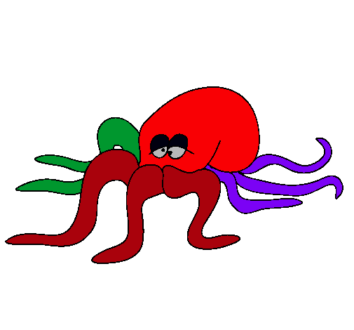 Pulpo