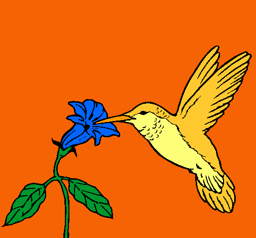 Dibujo Colibrí y una flor pintado por LizbethFriki
