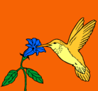Dibujo Colibrí y una flor pintado por LizbethFriki