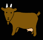 Dibujo Cabra pintado por franmario