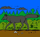 Dibujo Coyote pintado por chumel