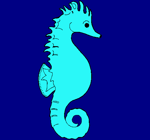 Caballito de mar