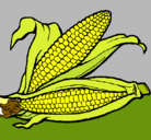 Dibujo Mazorca de maíz pintado por matorllo