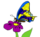 Dibujo Mariposa en flor pintado por jonatan