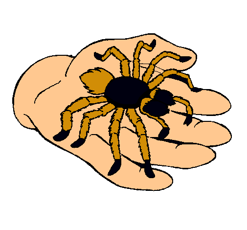 Tarántula