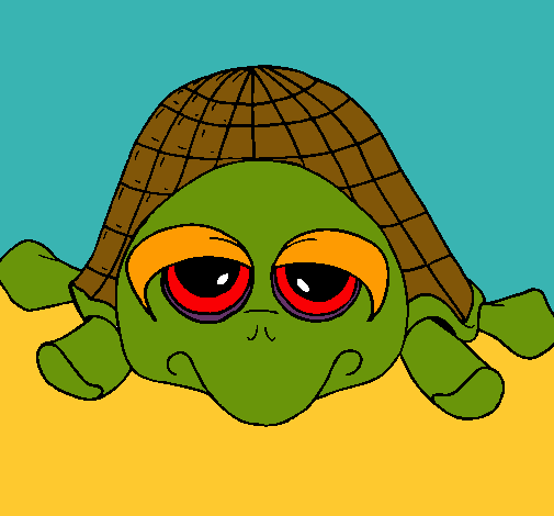 Tortuga