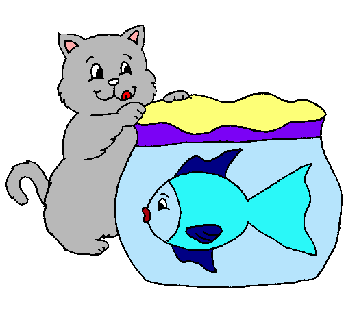 Gato y pez