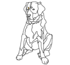 Dibujo Labrador pintado por diego2001