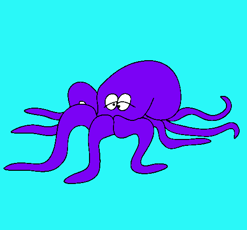 Pulpo