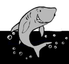 Dibujo Tiburón pintado por cherco