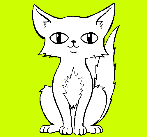 Dibujo Gato persa pintado por diego12