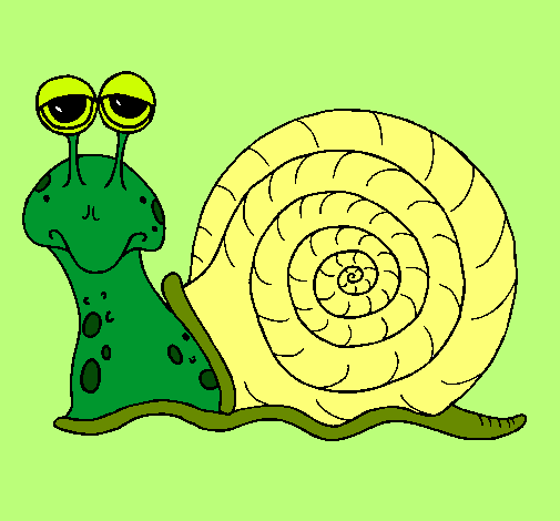 Caracol