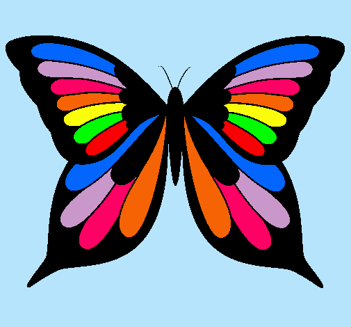 Mariposa