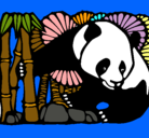 Dibujo Oso panda y bambú pintado por alimentacion