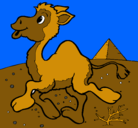 Dibujo Camello pintado por jhoann