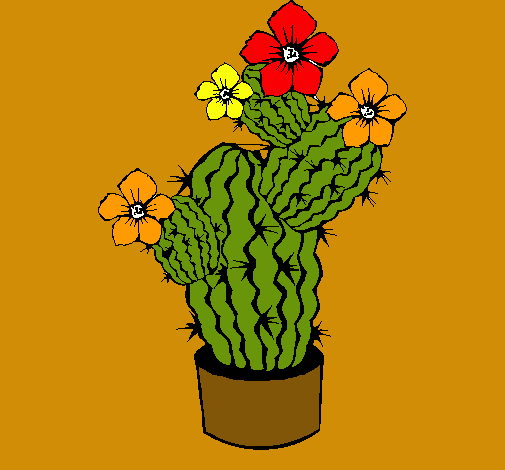 Flores de cactus