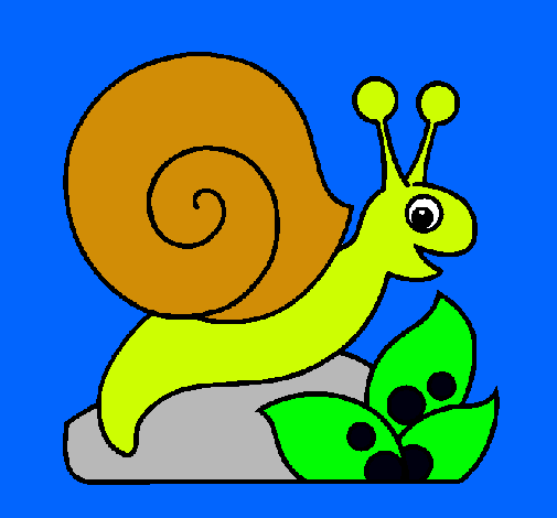 Caracol