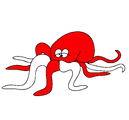 Pulpo