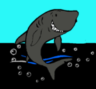 Dibujo Tiburón pintado por tamir