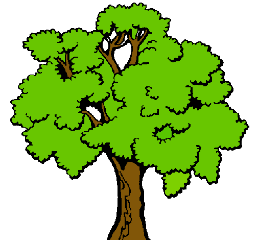 Árbol