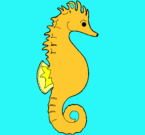 Caballito de mar