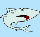 Dibujo Tiburón pintado por  hjuvfyug