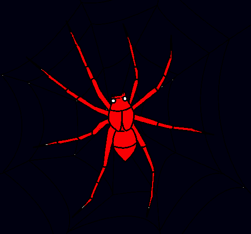 Araña