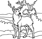 Dibujo Ciervo adulto pintado por ffrrann