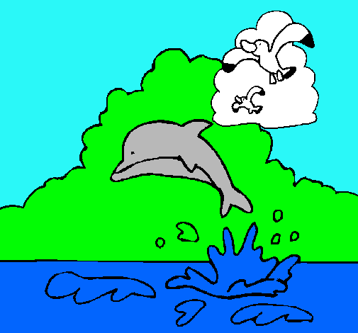 Delfín y gaviota