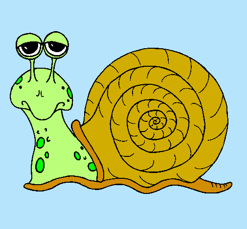 Caracol