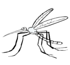 Dibujo Mosquito pintado por flies12