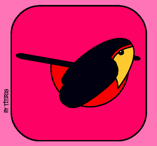 Pájaro II