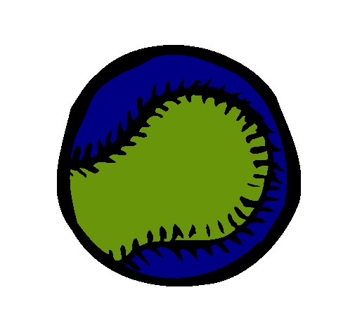 Pelota de béisbol