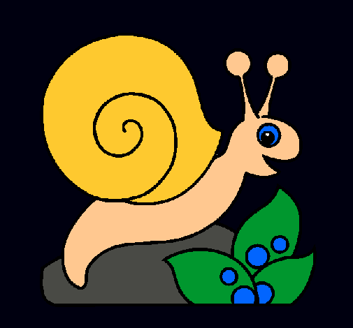 Caracol