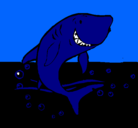 Dibujo Tiburón pintado por neri