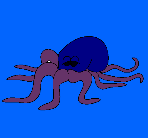 Pulpo