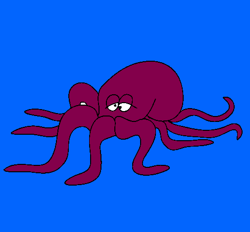 Pulpo