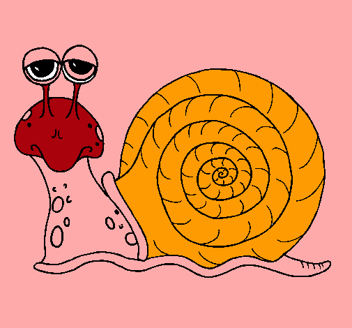 Caracol