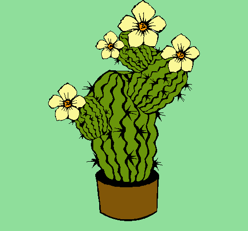 Flores de cactus