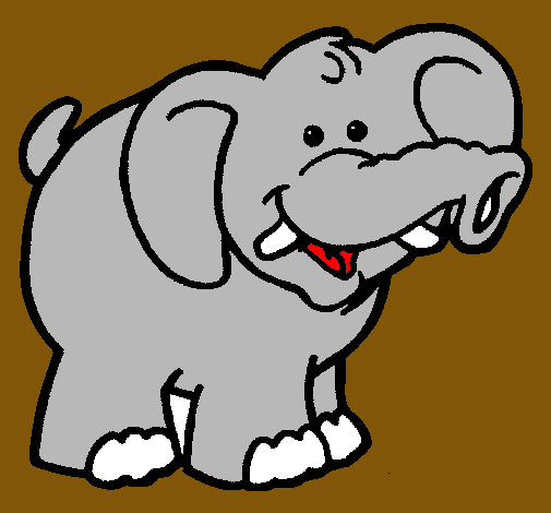 Elefante