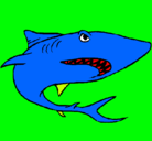 Dibujo Tiburón pintado por yoel